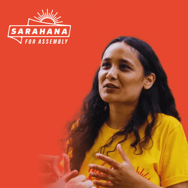 Sarahana Shrestha Portfolio Cover Image